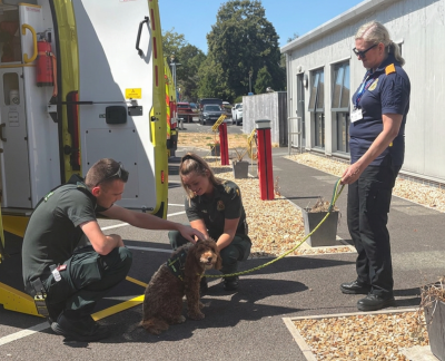 Two paramedics petting Jaffa with owner Lyn standing holding the lead
